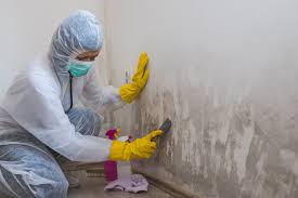 Best Commercial Mold Inspection in USA